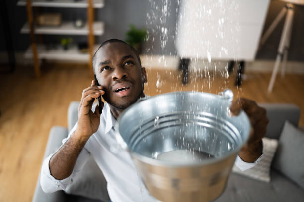 Best Ceiling water damage repair  in Franklin Park, NJ