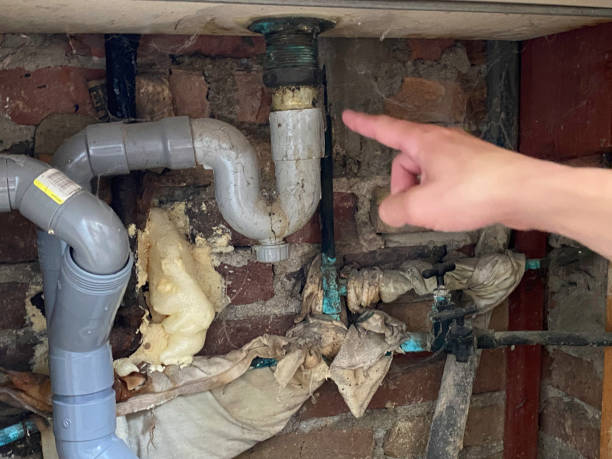 Best Fire Damage Restoration  in Franklin Park, NJ
