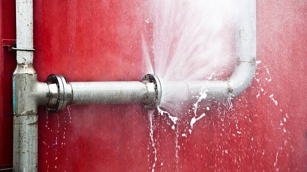 Best Flood damage cleanup  in Franklin Park, NJ